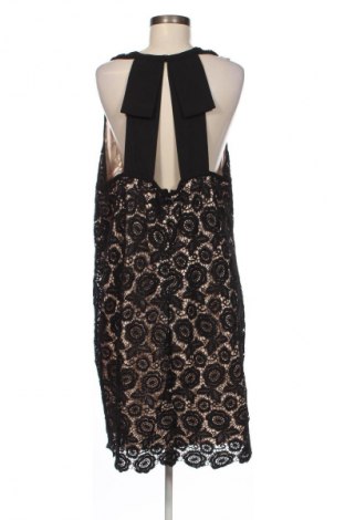 Kleid City Chic, Größe XL, Farbe Mehrfarbig, Preis € 20,99