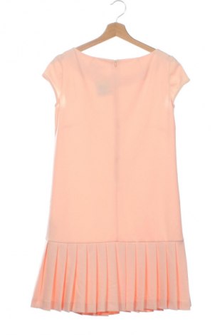 Kleid Comma,, Größe XS, Farbe Rosa, Preis 56,99 €