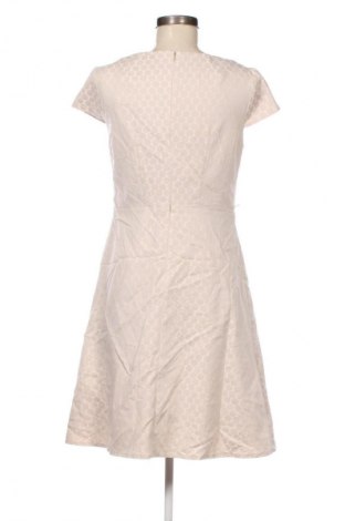 Kleid Comma,, Größe M, Farbe Mehrfarbig, Preis 56,99 €