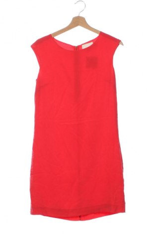 Kleid Cynthia Rowley, Größe XS, Farbe Rot, Preis 74,99 €
