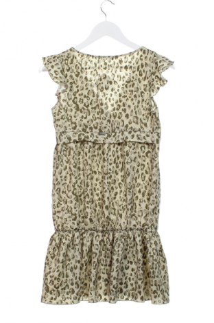 Kleid Denny Rose, Größe XS, Farbe Mehrfarbig, Preis 47,99 €