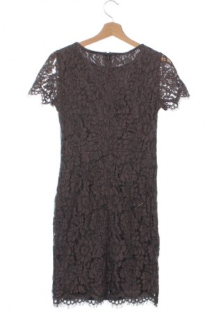 Kleid Esprit, Größe XXS, Farbe Braun, Preis 26,37 €