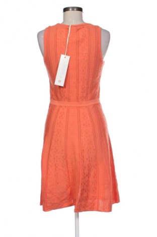 Kleid Etcetera, Größe S, Farbe Orange, Preis 107,99 €