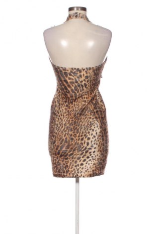 Kleid Jane Norman, Größe M, Farbe Mehrfarbig, Preis 21,99 €