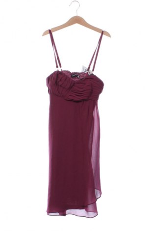 Šaty  Laura Scott, Veľkosť XXS, Farba Fialová, Cena  12,95 €