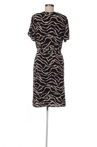 Kleid M&Co., Größe XXL, Farbe Mehrfarbig, Preis 36,99 €
