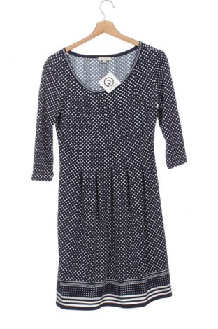 Šaty  Max Studio, Veľkosť XS, Farba Viacfarebná, Cena  47,95 €
