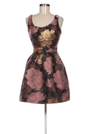 Kleid Miss Selfridge, Größe M, Farbe Mehrfarbig, Preis € 33,99