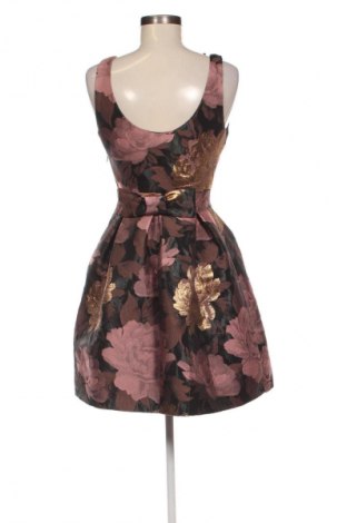 Kleid Miss Selfridge, Größe M, Farbe Mehrfarbig, Preis € 33,99