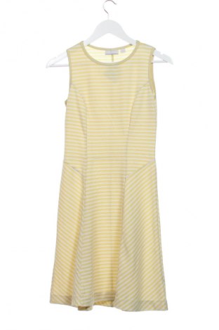 Kleid New York & Company, Größe XS, Farbe Mehrfarbig, Preis € 25,99