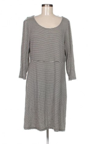 Kleid Skinnydip, Größe XL, Farbe Mehrfarbig, Preis € 33,99