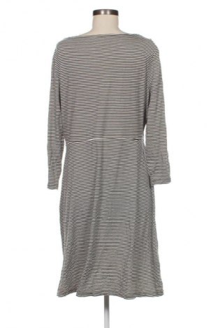 Kleid Skinnydip, Größe XL, Farbe Mehrfarbig, Preis € 33,99