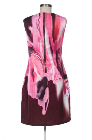 Šaty  Sweet Miss, Velikost XL, Barva Vícebarevné, Cena  369,00 Kč