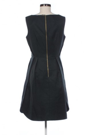 Kleid Ted Baker, Größe M, Farbe Grün, Preis € 122,99