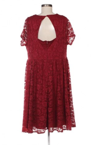 Rochie Torrid, Mărime XL, Culoare Multicolor, Preț 98,99 Lei