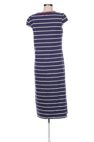 Kleid U.S. Polo Assn., Größe XL, Farbe Mehrfarbig, Preis € 53,99