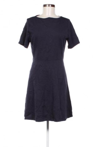 Kleid Uniqlo, Größe L, Farbe Schwarz, Preis € 29,99