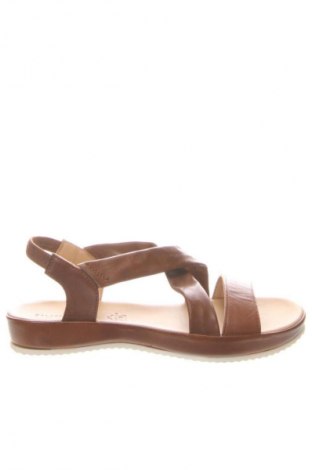 Σανδάλια Salamander, Μέγεθος 38, Χρώμα Καφέ, Τιμή 103,84 €