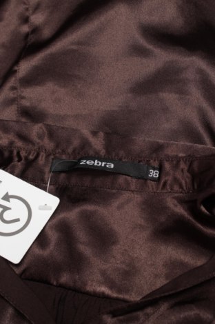Γυναικείο πουκάμισο Zebra, Μέγεθος M, Χρώμα Καφέ, Τιμή 9,28 €