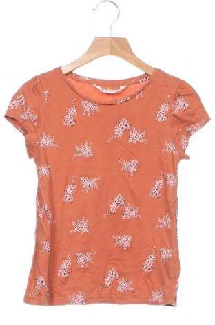 Детска блуза H&M, Размер 8-9y/ 134-140 см, Цвят Кафяв, Памук, Цена 10,92 лв.