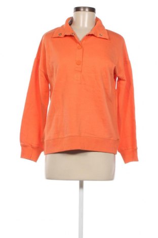 Γυναικεία μπλούζα Sussan, Μέγεθος XXS, Χρώμα Πορτοκαλί, Τιμή 6,52 €