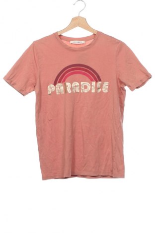 Γυναικεία μπλούζα, Μέγεθος XS, Χρώμα Πορτοκαλί, Τιμή 5,87 €