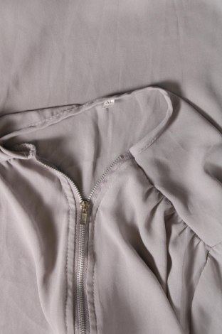 Bluză de femei, Mărime XL, Culoare Gri, Preț 34,38 Lei