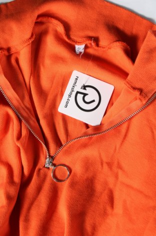 Γυναικεία μπλούζα, Μέγεθος M, Χρώμα Πορτοκαλί, Τιμή 6,46 €
