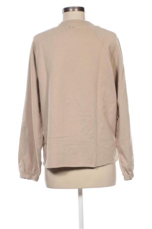 Damen Shirt 17 & Co., Größe M, Farbe Beige, Preis € 7,75