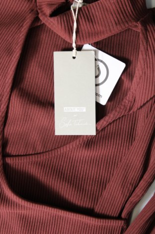 Damen Shirt ABOUT YOU x Sofia Tsakiridou, Größe XS, Farbe Braun, Preis 15,88 €