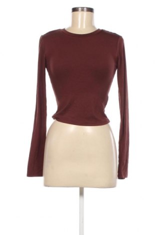 Γυναικεία μπλούζα ABOUT YOU x Toni Garrn, Μέγεθος S, Χρώμα Καφέ, Τιμή 39,69 €