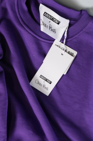 Damen Shirt About You, Größe XS, Farbe Lila, Preis 9,48 €