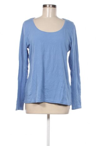 Damen Shirt Blue Motion, Größe M, Farbe Blau, Preis € 2,99