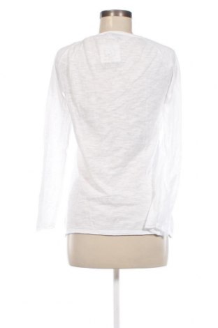 Γυναικεία μπλούζα Blue Motion, Μέγεθος S, Χρώμα Λευκό, Τιμή 11,75 €