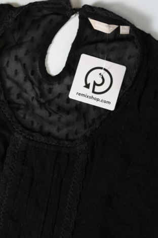 Γυναικεία μπλούζα Bon'a Parte, Μέγεθος XXL, Χρώμα Μαύρο, Τιμή 10,52 €