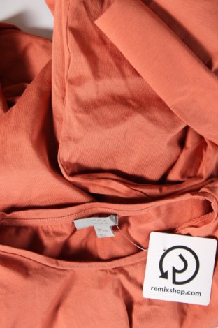 Γυναικεία μπλούζα COS, Μέγεθος S, Χρώμα Καφέ, Τιμή 13,99 €