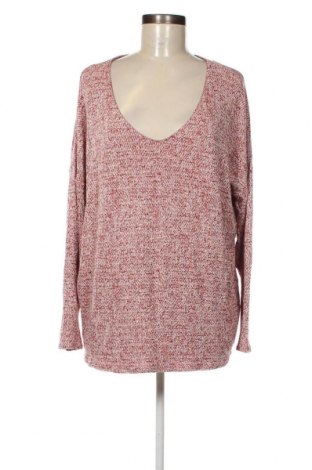 Damen Shirt Calida, Größe S, Farbe Mehrfarbig, Preis 18,37 €