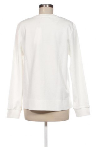 Γυναικεία μπλούζα Calvin Klein, Μέγεθος L, Χρώμα Λευκό, Τιμή 57,55 €
