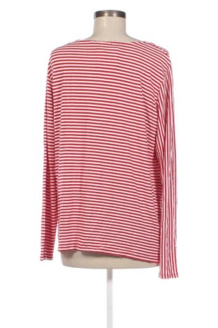 Damen Shirt Cecil, Größe XL, Farbe Mehrfarbig, Preis € 14,20