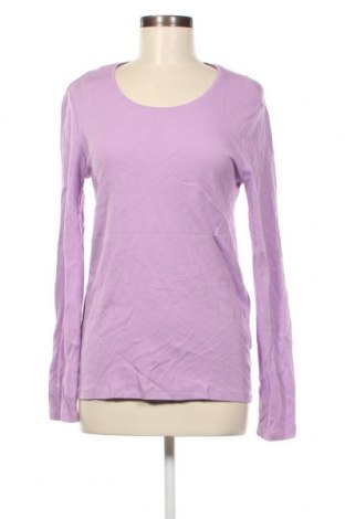 Damen Shirt Cecil, Größe L, Farbe Lila, Preis 23,66 €