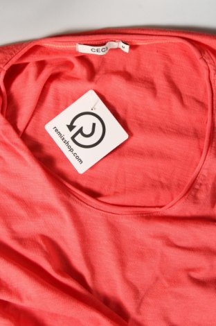 Damen Shirt Cecil, Größe M, Farbe Orange, Preis € 10,99