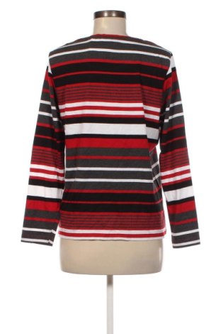 Damen Shirt Collection L, Größe L, Farbe Mehrfarbig, Preis 6,61 €