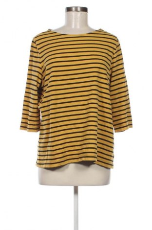 Damen Shirt Collection L, Größe XL, Farbe Mehrfarbig, Preis 10,00 €