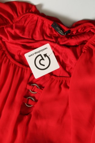 Damen Shirt Colloseum, Größe L, Farbe Rot, Preis 5,95 €
