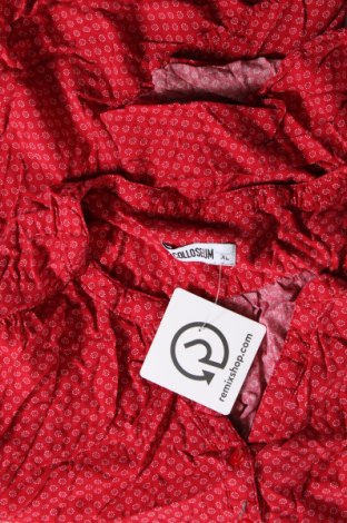Γυναικεία μπλούζα Colloseum, Μέγεθος XL, Χρώμα Κόκκινο, Τιμή 7,05 €