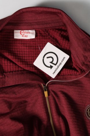 Γυναικεία μπλούζα Covalliero, Μέγεθος L, Χρώμα Κόκκινο, Τιμή 6,18 €