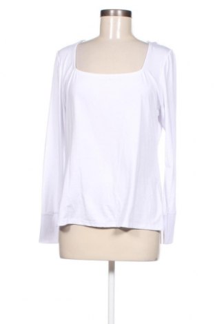 Damen Shirt Dorothy Perkins, Größe L, Farbe Weiß, Preis 15,98 €