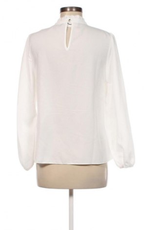 Damen Shirt Dorothy Perkins, Größe M, Farbe Weiß, Preis 15,98 €