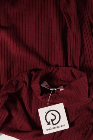 Γυναικεία μπλούζα Edited, Μέγεθος M, Χρώμα Κόκκινο, Τιμή 13,89 €