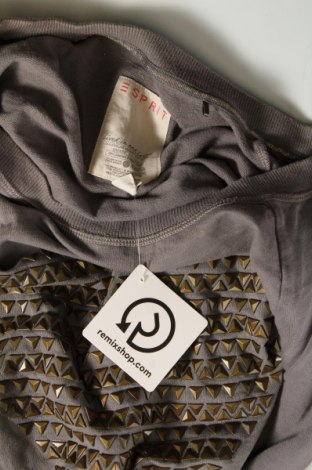Damen Shirt Esprit, Größe L, Farbe Grau, Preis 9,46 €